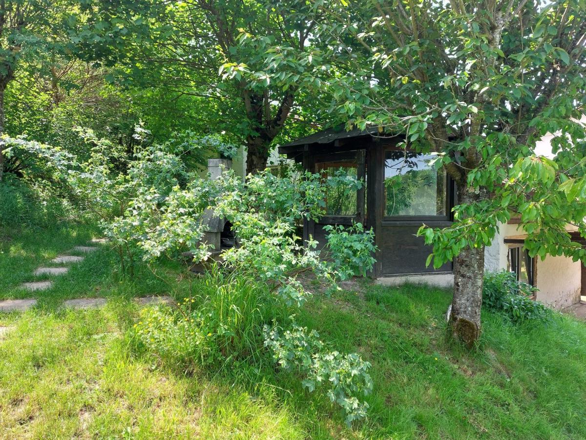 Gite de Moulin Maurt Xertigny Extérieur photo